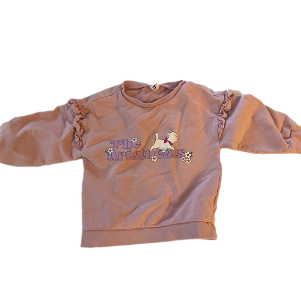 Girls Mollymelly Sweatshirt 100 Pink with ruffles and aristocats theme